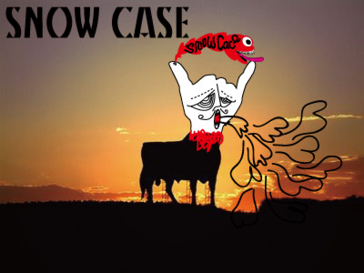 Snow-case